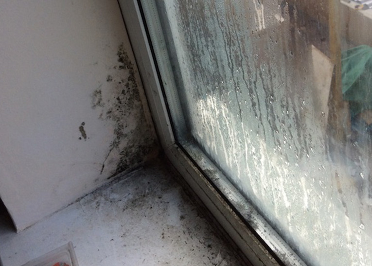 mould around window