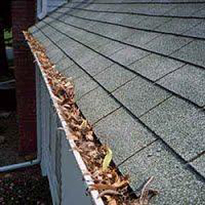 dried leaves in roof gutter